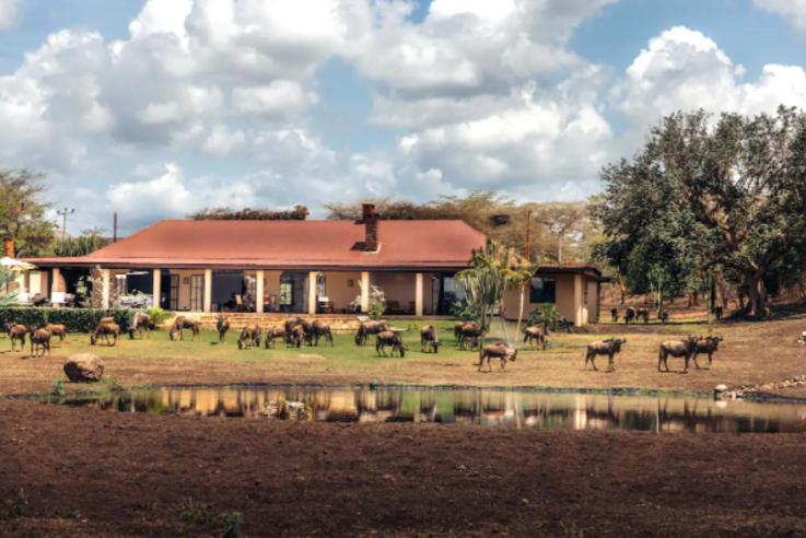 Wildlife Residence Tuvaila 외부 사진